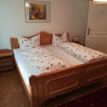 Apartment Froschkoenig Gladenbach Eksteriør billede